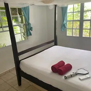  Guest house Akunamatata